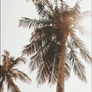 Meet your Posher, Dhara